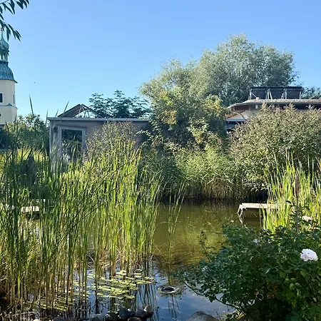 Schaefers - Ruhe, Komfort Und Am Stoermthaler Und Markkleeberger - 15 Min Leipzig *
